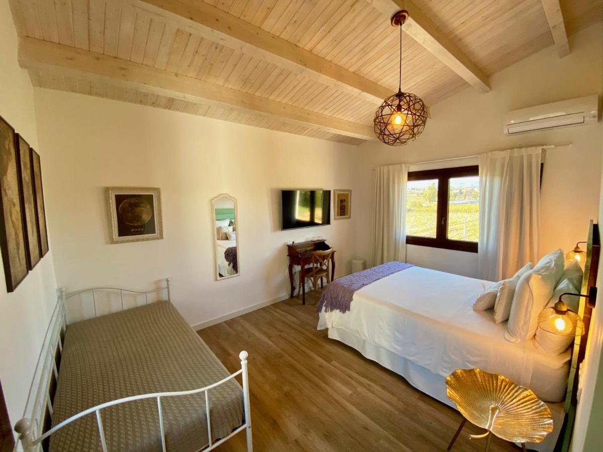Pla del Panadés Bed & Breakfast Wine & Cooking Penedes المظهر الخارجي الصورة
