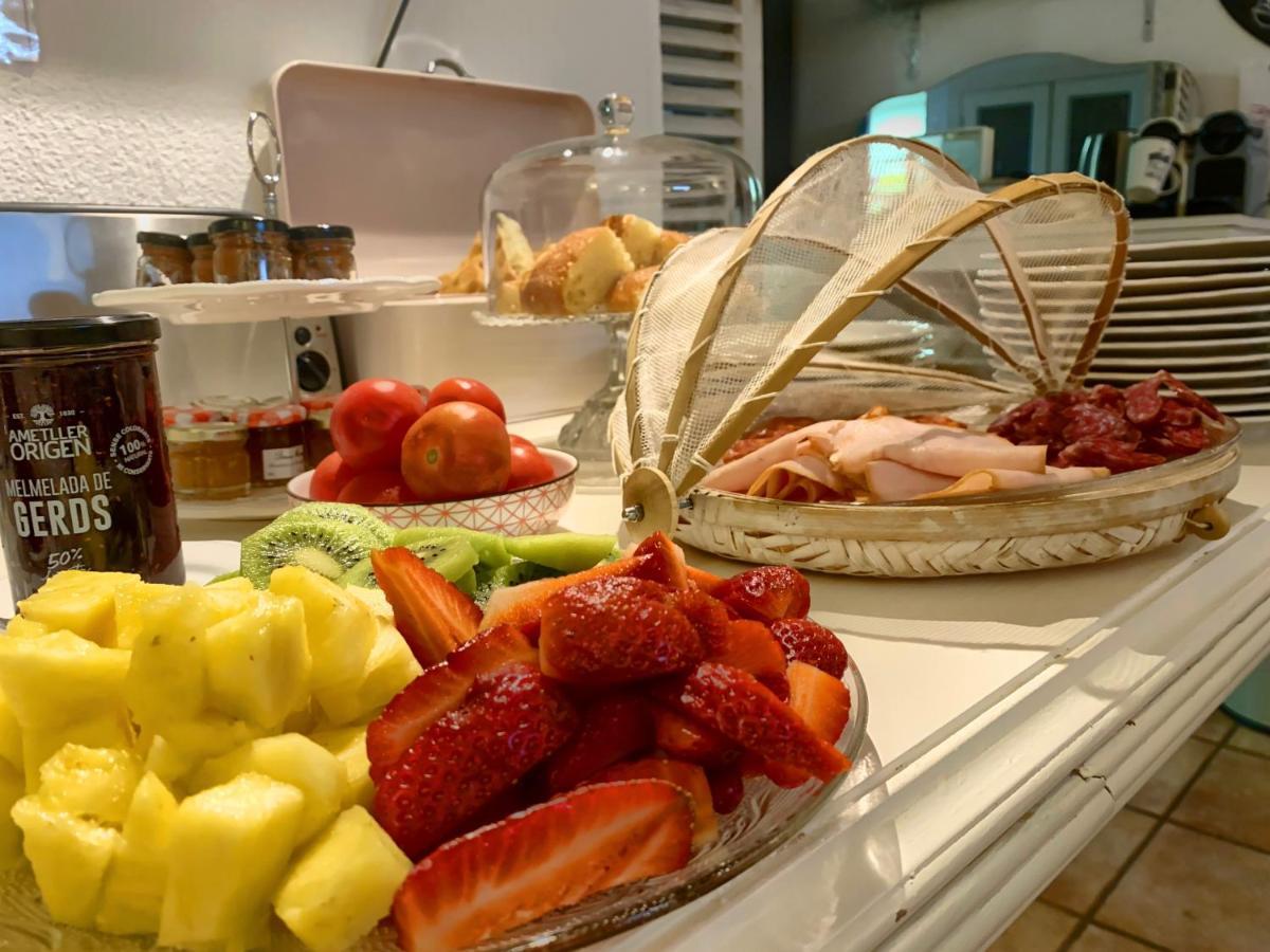 Pla del Panadés Bed & Breakfast Wine & Cooking Penedes المظهر الخارجي الصورة