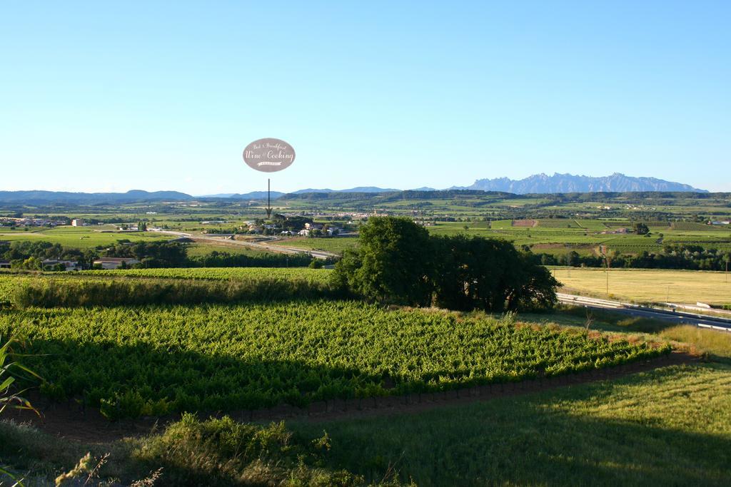 Pla del Panadés Bed & Breakfast Wine & Cooking Penedes المظهر الخارجي الصورة